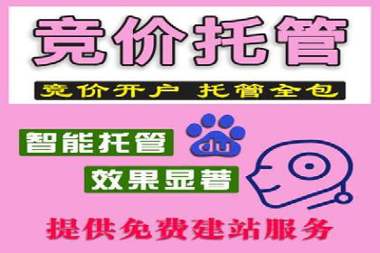 SEM服务在旅游行业的应用案例